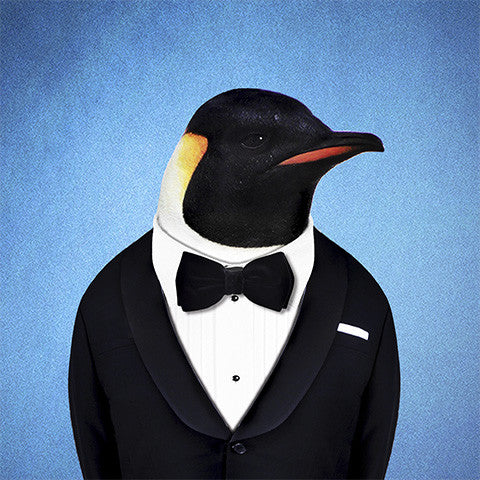 Emperor Penguin Collection