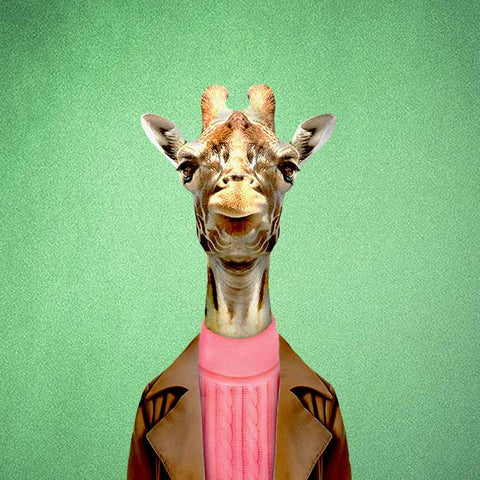 Giraffe Collection
