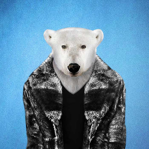 Polar Bear Collection