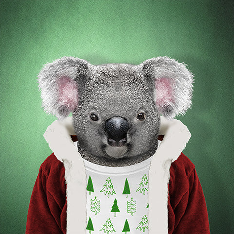 Christmas Koala Collection
