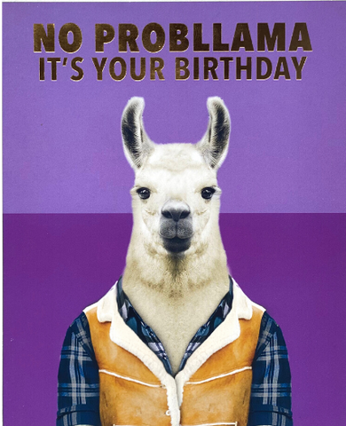 No Probllama Greeting Card