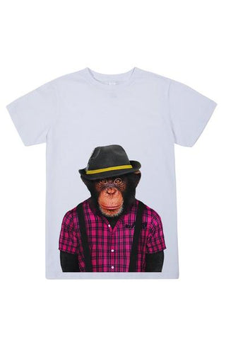Monkey Male Collection - Animalyser