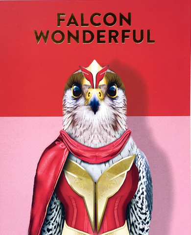 Falcon Wonderful Greeting Card